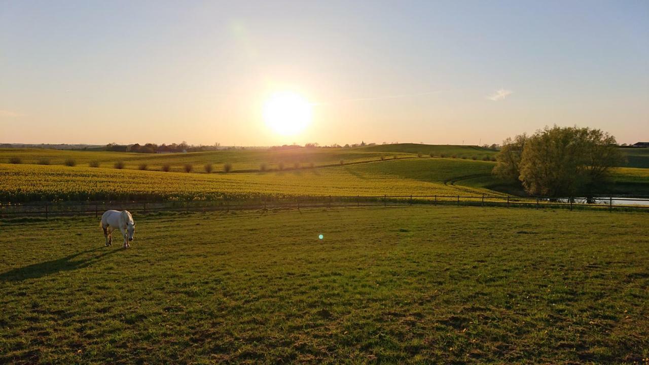 Glamping Och Gardslagenhet Mellan Himmel Och Hav Διαμέρισμα Skivarp Εξωτερικό φωτογραφία